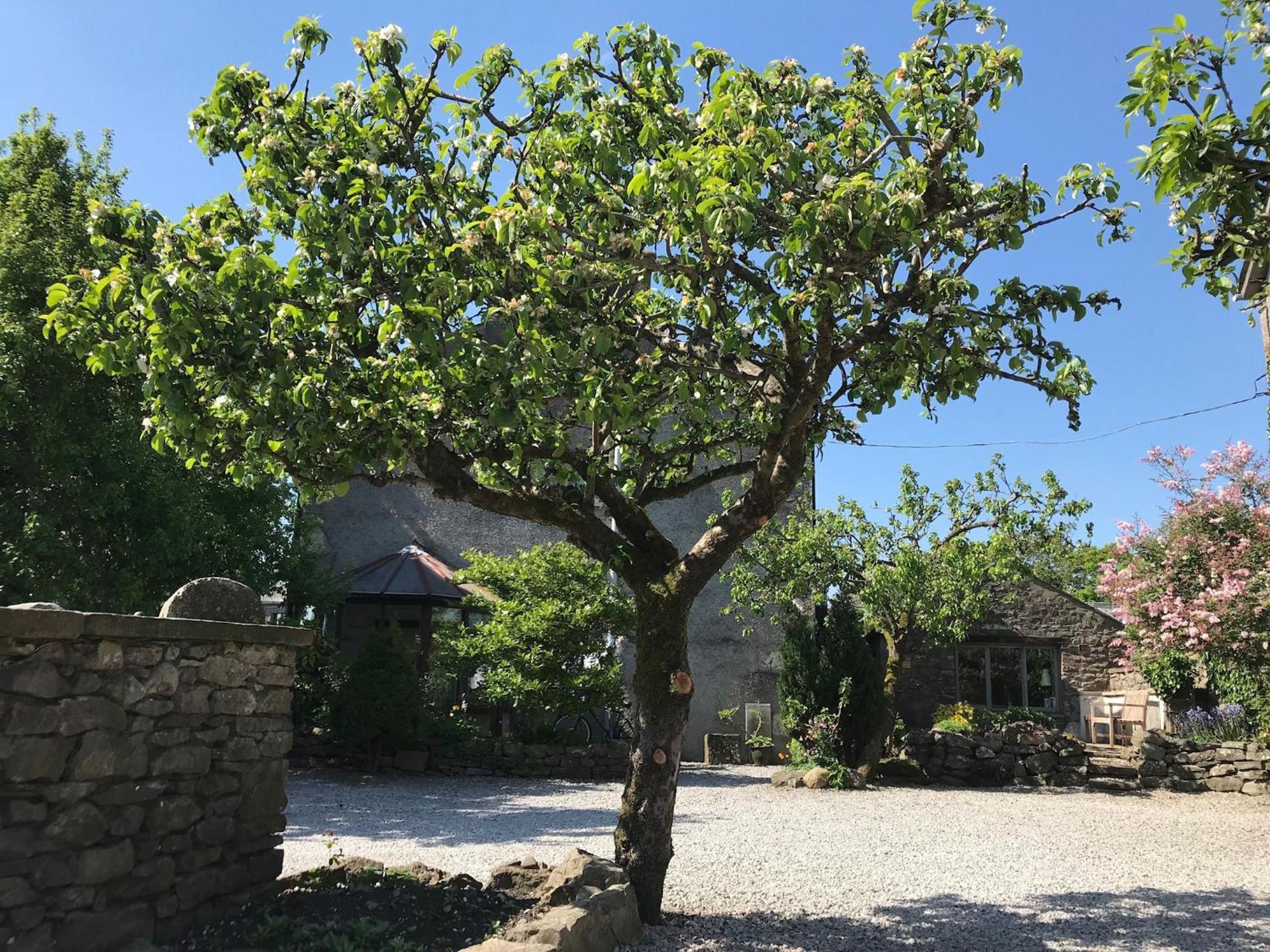 Pear Tree Barn Villa Crooklands Exterior foto